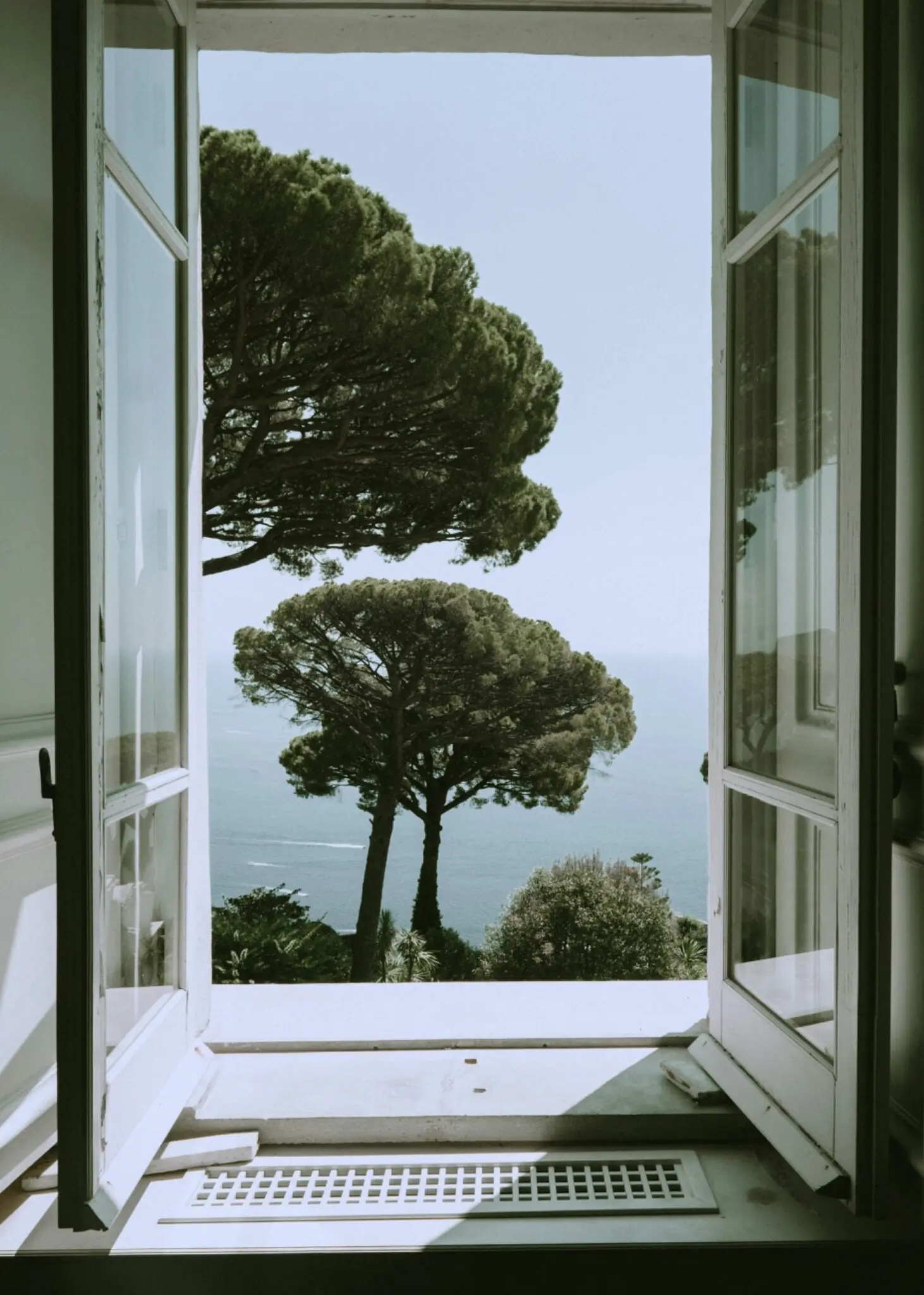 Mediterranean pines framed by an open window
