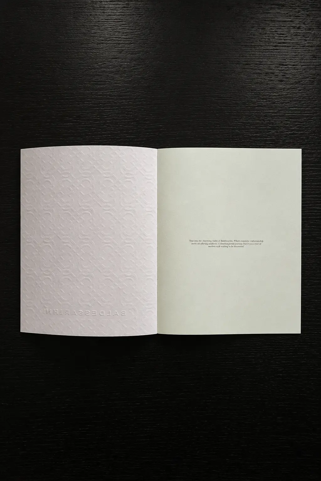 Baldessarini Château Provence embossed endpaper spread