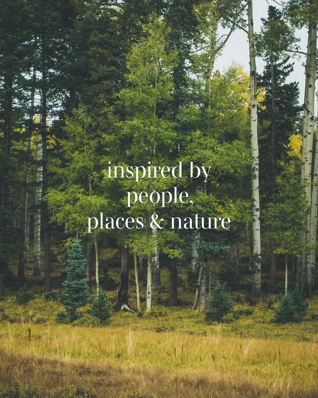 Forest landscape with an editorial statement about people, places and nature