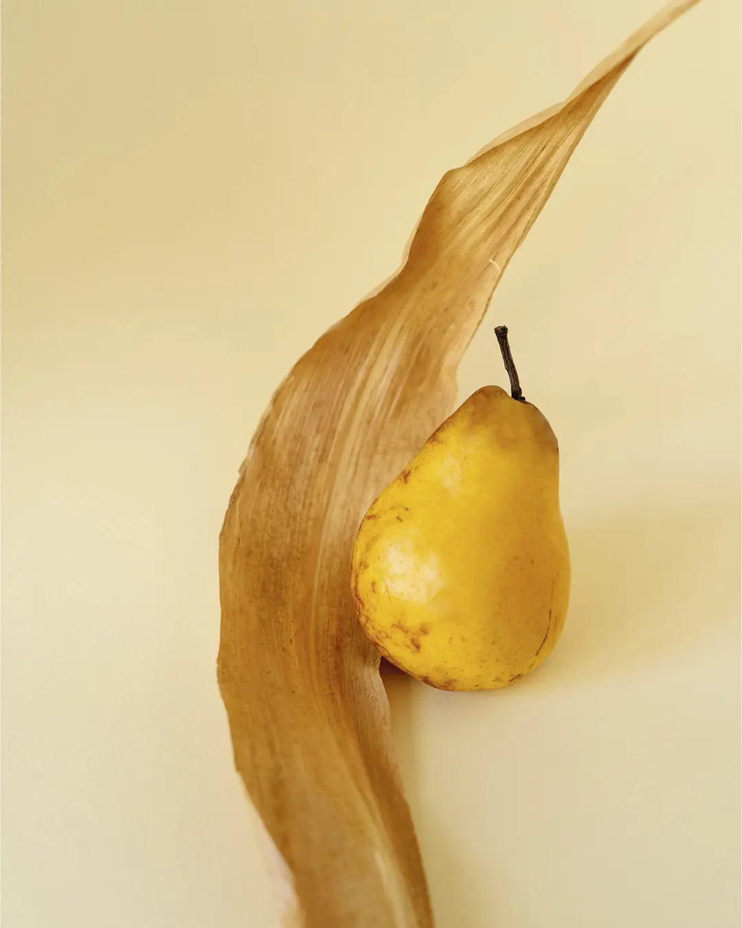 Pear and dried leaf still life used in the Designwerk magazine