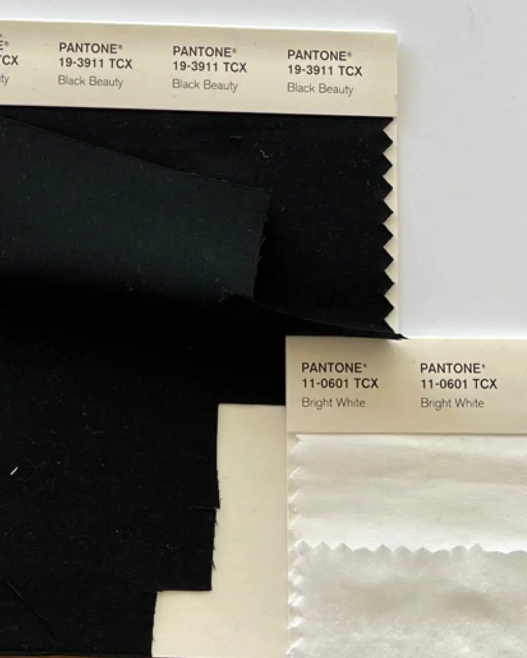 Schwarz-weiße Stoff- und Pantone-Referenzen